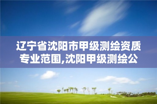 遼寧省沈陽市甲級測繪資質專業范圍,沈陽甲級測繪公司