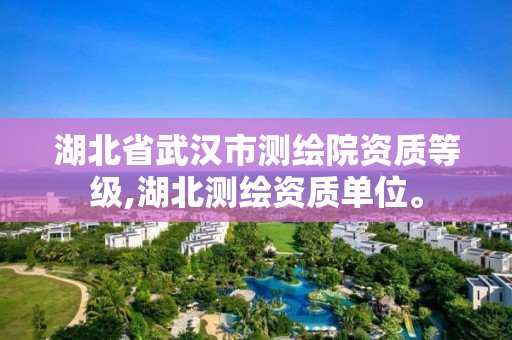 湖北省武漢市測繪院資質等級,湖北測繪資質單位。