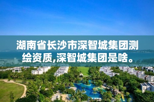 湖南省長沙市深智城集團(tuán)測繪資質(zhì),深智城集團(tuán)是啥。