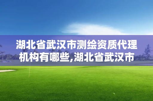 湖北省武漢市測繪資質代理機構有哪些,湖北省武漢市測繪資質代理機構有哪些公司。