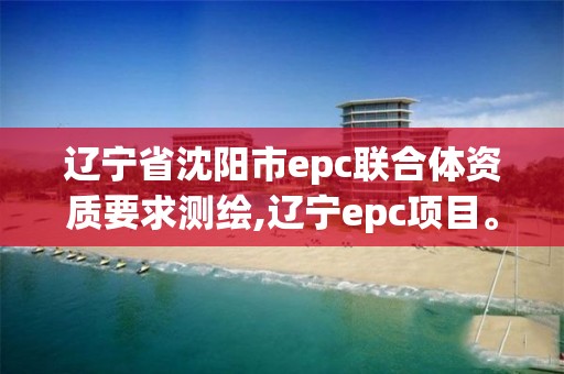 遼寧省沈陽市epc聯合體資質要求測繪,遼寧epc項目。