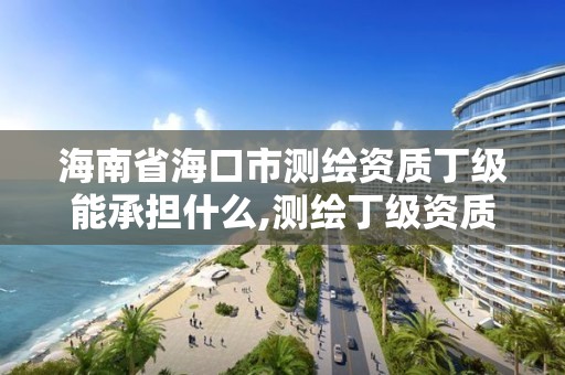 海南省海口市測繪資質丁級能承擔什么,測繪丁級資質申報條件。