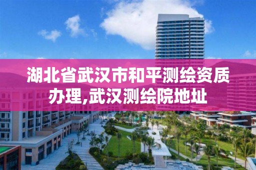 湖北省武漢市和平測繪資質辦理,武漢測繪院地址