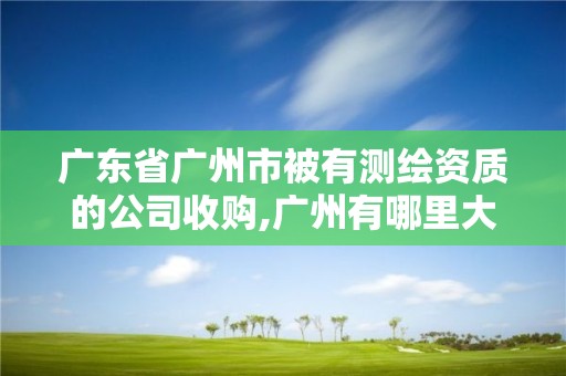 廣東省廣州市被有測繪資質的公司收購,廣州有哪里大的測繪公司。