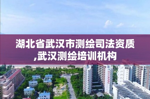 湖北省武漢市測繪司法資質,武漢測繪培訓機構