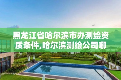 黑龍江省哈爾濱市辦測繪資質(zhì)條件,哈爾濱測繪公司哪家好