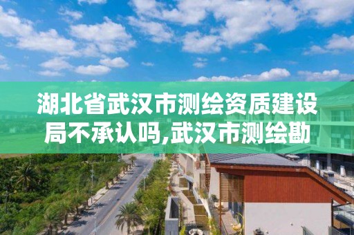 湖北省武漢市測繪資質建設局不承認嗎,武漢市測繪勘察設計甲級資質公司。