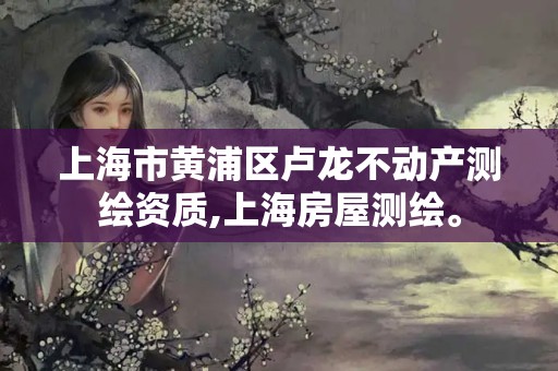 上海市黃浦區(qū)盧龍不動產(chǎn)測繪資質(zhì),上海房屋測繪。