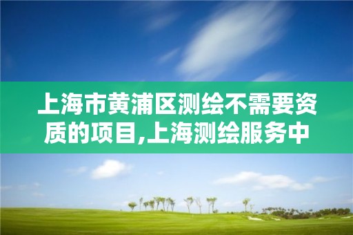 上海市黃浦區測繪不需要資質的項目,上海測繪服務中心。