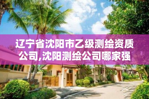 遼寧省沈陽市乙級測繪資質公司,沈陽測繪公司哪家強哪家好