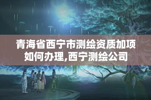 青海省西寧市測繪資質加項如何辦理,西寧測繪公司