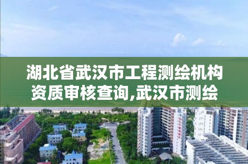 湖北省武漢市工程測繪機構資質審核查詢,武漢市測繪工程技術規定。