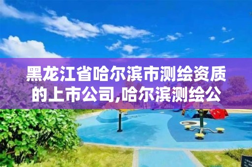 黑龍江省哈爾濱市測繪資質的上市公司,哈爾濱測繪公司哪家好