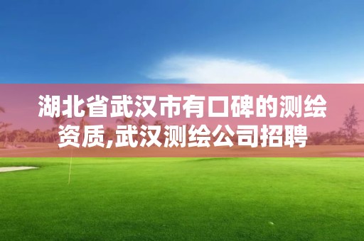 湖北省武漢市有口碑的測繪資質(zhì),武漢測繪公司招聘