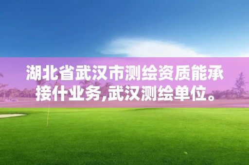 湖北省武漢市測(cè)繪資質(zhì)能承接什業(yè)務(wù),武漢測(cè)繪單位。