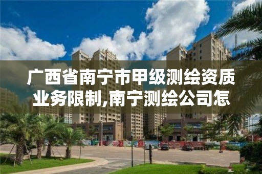 廣西省南寧市甲級測繪資質業務限制,南寧測繪公司怎么收費標準