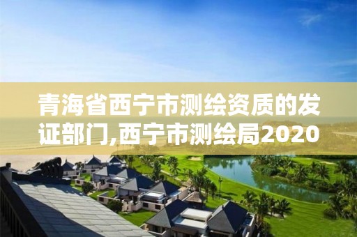 青海省西寧市測繪資質的發證部門,西寧市測繪局2020招聘