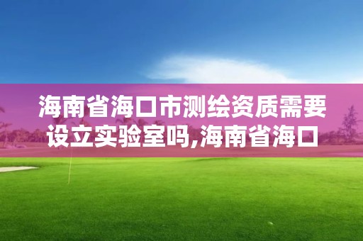 海南省?？谑袦y繪資質需要設立實驗室嗎,海南省?？谑袦y繪資質需要設立實驗室嗎為什么