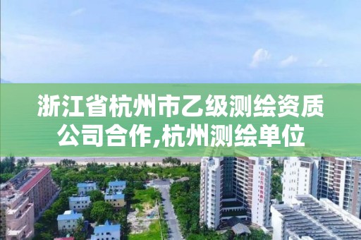 浙江省杭州市乙級(jí)測(cè)繪資質(zhì)公司合作,杭州測(cè)繪單位