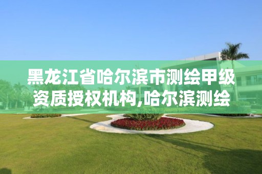 黑龍江省哈爾濱市測繪甲級資質授權機構,哈爾濱測繪局位置