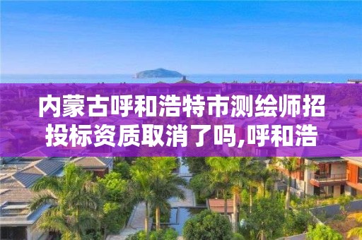 內蒙古呼和浩特市測繪師招投標資質取消了嗎,呼和浩特測繪招聘。