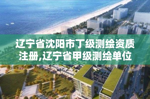 遼寧省沈陽市丁級測繪資質注冊,遼寧省甲級測繪單位