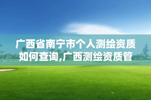 廣西省南寧市個人測繪資質如何查詢,廣西測繪資質管理系統