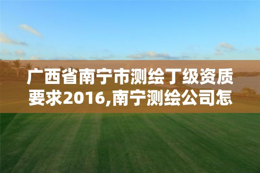 廣西省南寧市測繪丁級資質(zhì)要求2016,南寧測繪公司怎么收費(fèi)標(biāo)準(zhǔn)