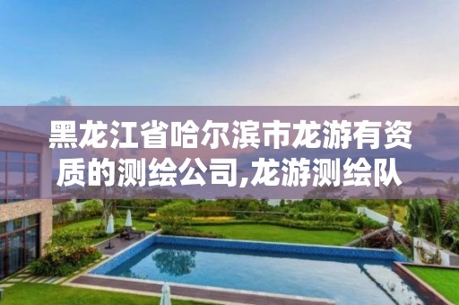 黑龍江省哈爾濱市龍游有資質的測繪公司,龍游測繪隊張