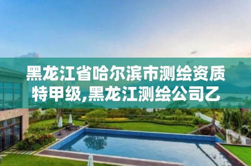 黑龍江省哈爾濱市測繪資質特甲級,黑龍江測繪公司乙級資質