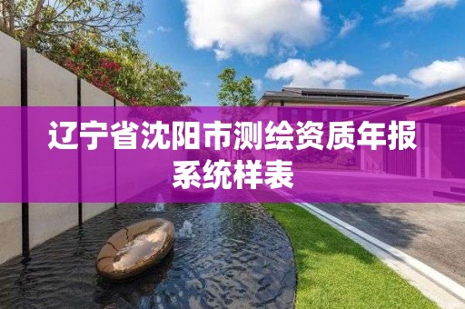 遼寧省沈陽市測繪資質年報系統樣表