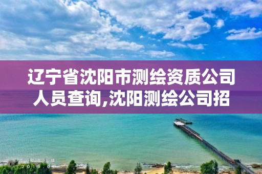 遼寧省沈陽市測繪資質(zhì)公司人員查詢,沈陽測繪公司招聘信息最新招聘