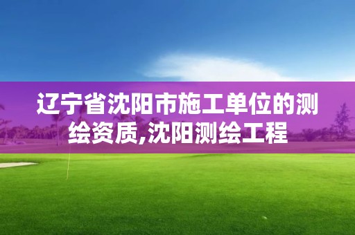 遼寧省沈陽市施工單位的測繪資質,沈陽測繪工程