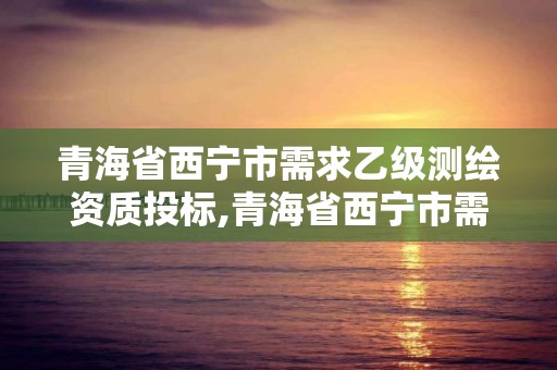 青海省西寧市需求乙級測繪資質投標,青海省西寧市需求乙級測繪資質投標單位