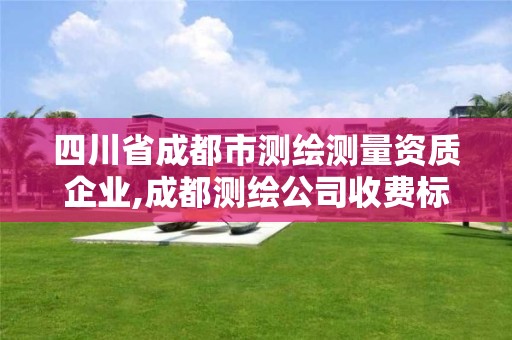 四川省成都市測繪測量資質企業,成都測繪公司收費標準