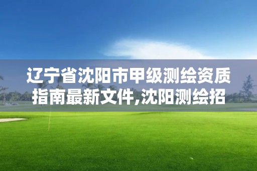 遼寧省沈陽市甲級測繪資質指南最新文件,沈陽測繪招聘。