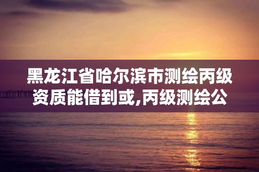 黑龍江省哈爾濱市測繪丙級資質能借到或,丙級測繪公司