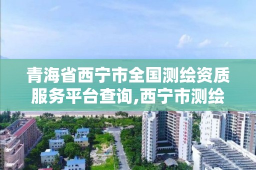 青海省西寧市全國測繪資質服務平臺查詢,西寧市測繪局2020招聘。