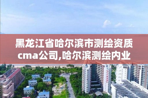 黑龍江省哈爾濱市測繪資質cma公司,哈爾濱測繪內業招聘信息