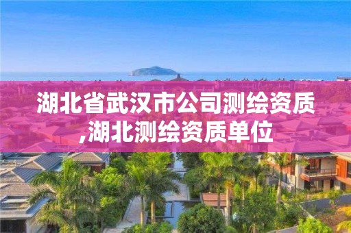 湖北省武漢市公司測繪資質,湖北測繪資質單位