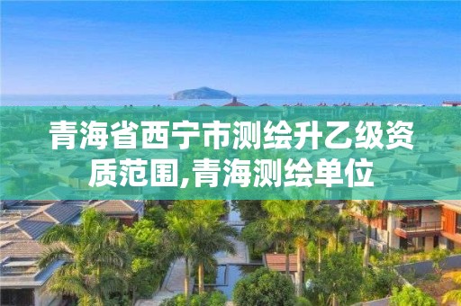 青海省西寧市測(cè)繪升乙級(jí)資質(zhì)范圍,青海測(cè)繪單位