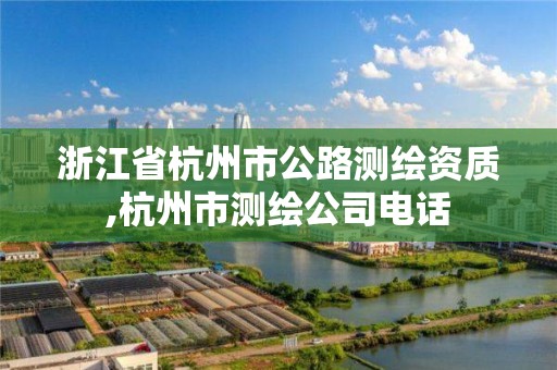 浙江省杭州市公路測繪資質(zhì),杭州市測繪公司電話