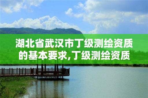 湖北省武漢市丁級測繪資質的基本要求,丁級測繪資質人員要求。