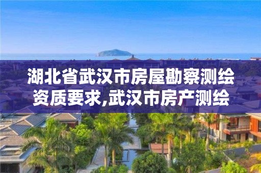 湖北省武漢市房屋勘察測繪資質(zhì)要求,武漢市房產(chǎn)測繪中心是什么性質(zhì)