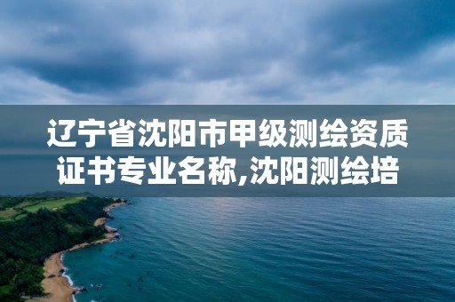 遼寧省沈陽市甲級測繪資質證書專業名稱,沈陽測繪培訓