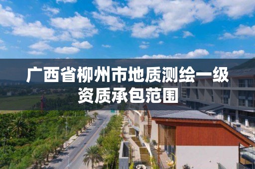 廣西省柳州市地質測繪一級資質承包范圍