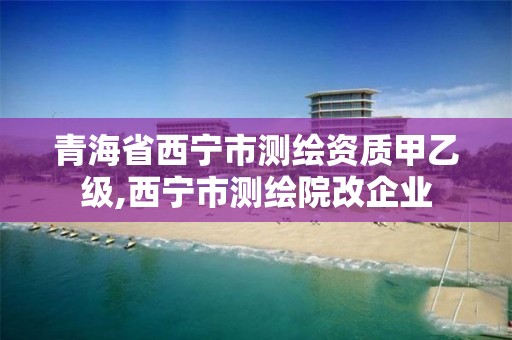 青海省西寧市測繪資質甲乙級,西寧市測繪院改企業