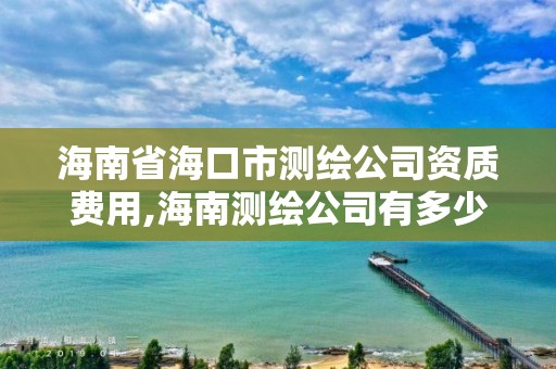 海南省海口市測繪公司資質費用,海南測繪公司有多少家