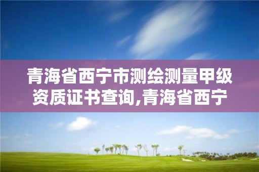 青海省西寧市測繪測量甲級資質證書查詢,青海省西寧市測繪院。