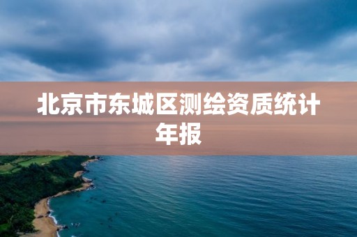 北京市東城區測繪資質統計年報